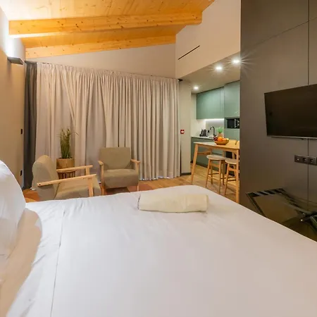 Paraiso & Lägenhetshotell Guimarães