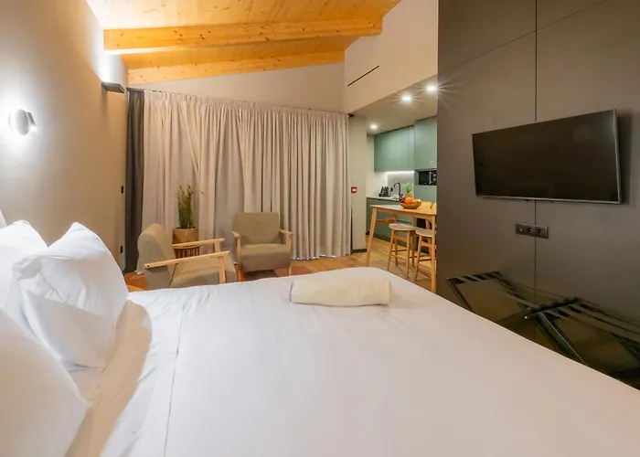 Paraiso & Lägenhetshotell Guimarães