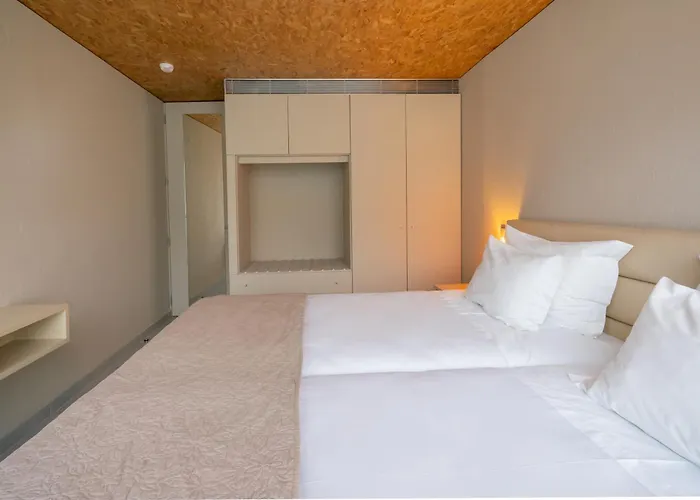 Paraiso & 귀마레스